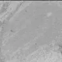 Sol 3302: Mast Camera (Mastcam)