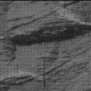 Sol 3303: Mast Camera (Mastcam)
