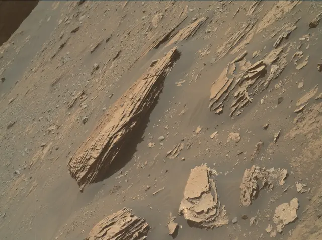 Sol 3303: Mars Hand Lens Imager (MAHLI)