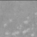 Sol 3304: Mast Camera (Mastcam)