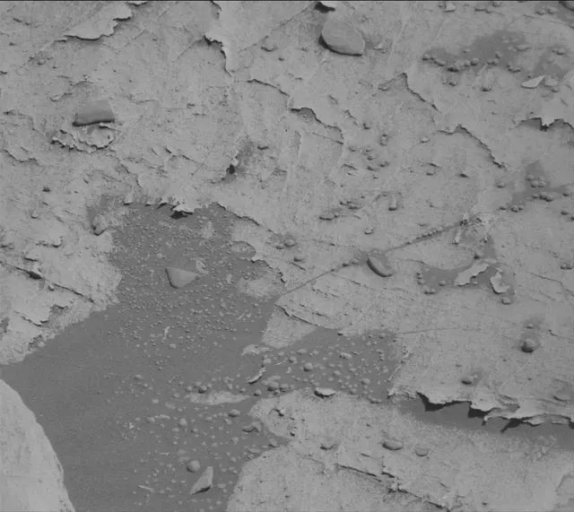 Sol 3306: Mast Camera (Mastcam)