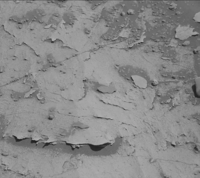 Sol 3306: Mast Camera (Mastcam)