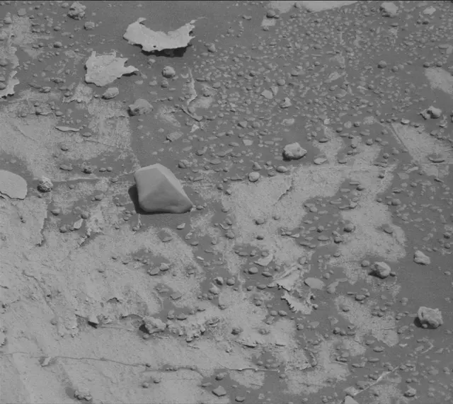 Sol 3306: Mast Camera (Mastcam)
