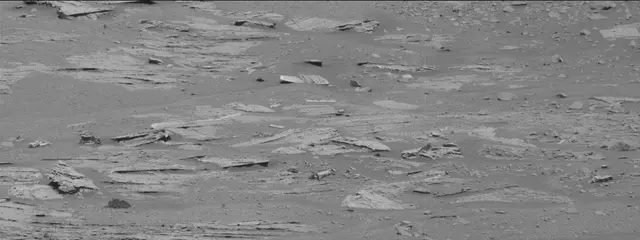 Sol 3309: Mast Camera (Mastcam)