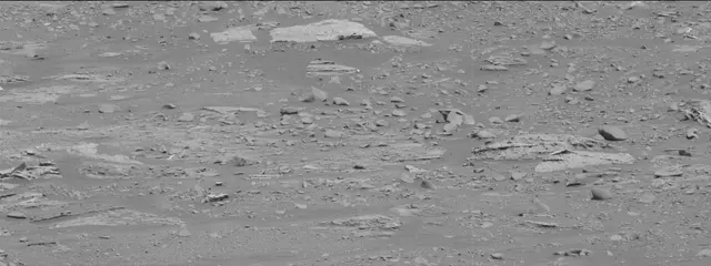 Sol 3309: Mast Camera (Mastcam)