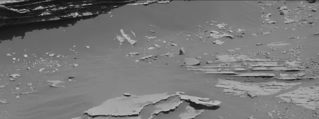 Sol 3309: Mast Camera (Mastcam)