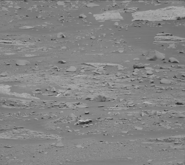 Sol 3309: Mast Camera (Mastcam)