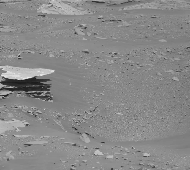 Sol 3309: Mast Camera (Mastcam)