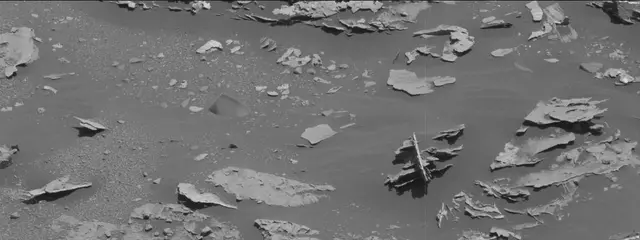 Sol 3310: Mast Camera (Mastcam)
