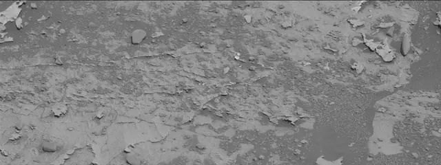Sol 3310: Mast Camera (Mastcam)