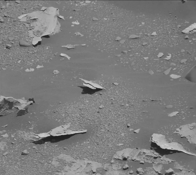Sol 3310: Mast Camera (Mastcam)