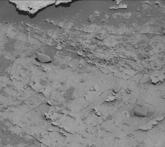 Sol 3310: Mast Camera (Mastcam)