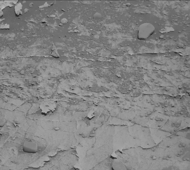 Sol 3310: Mast Camera (Mastcam)