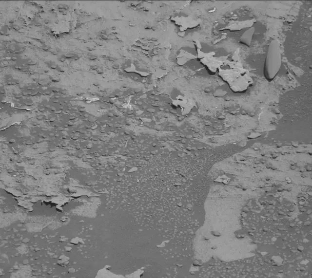 Sol 3310: Mast Camera (Mastcam)