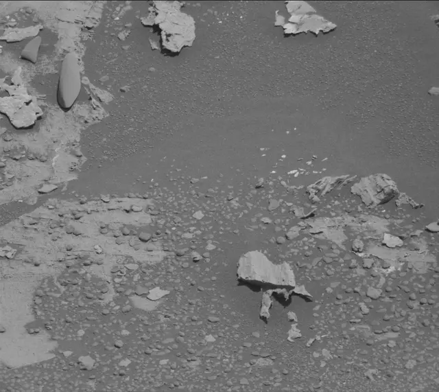 Sol 3310: Mast Camera (Mastcam)