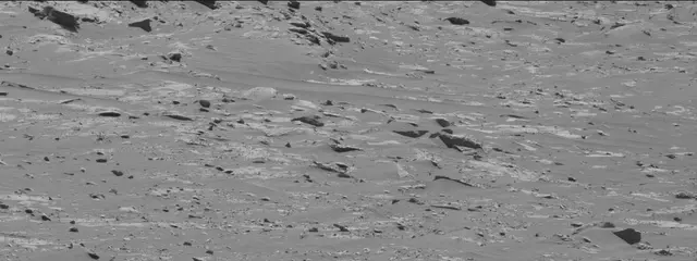 Sol 3311: Mast Camera (Mastcam)