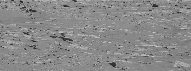 Sol 3311: Mast Camera (Mastcam)