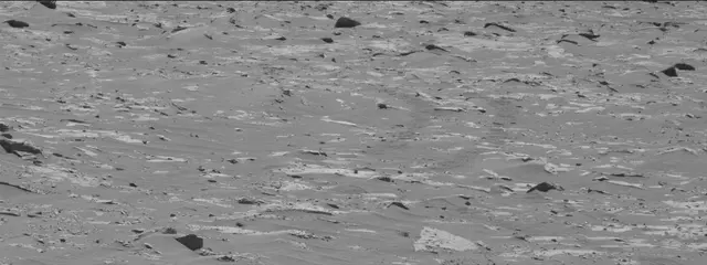 Sol 3311: Mast Camera (Mastcam)