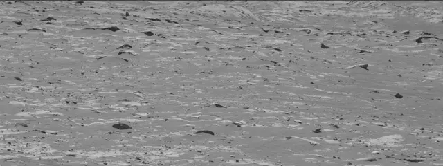 Sol 3311: Mast Camera (Mastcam)