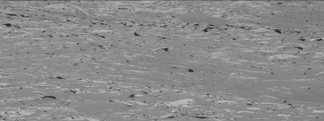 Sol 3311: Mast Camera (Mastcam)