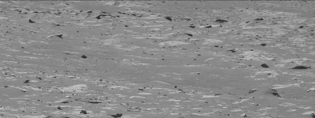 Sol 3311: Mast Camera (Mastcam)