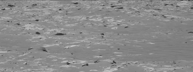 Sol 3311: Mast Camera (Mastcam)