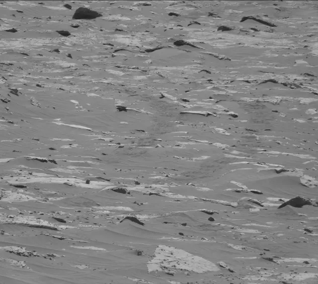 Sol 3311: Mast Camera (Mastcam)