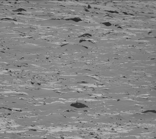 Sol 3311: Mast Camera (Mastcam)