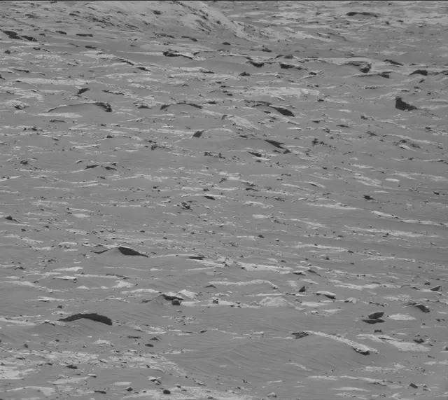 Sol 3311: Mast Camera (Mastcam)