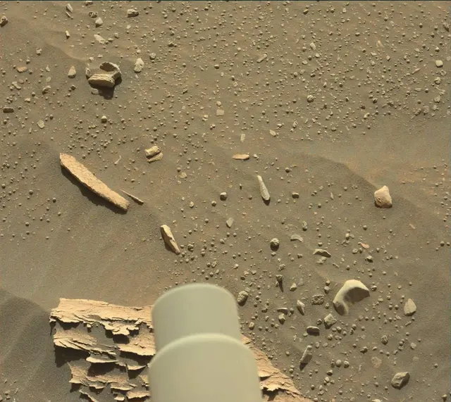Sol 3312: Mast Camera (Mastcam)