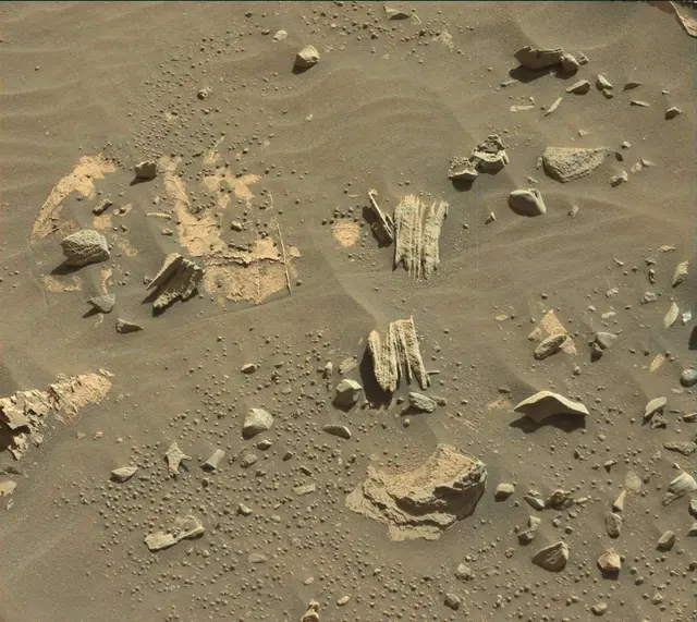 Sol 3312: Mast Camera (Mastcam)