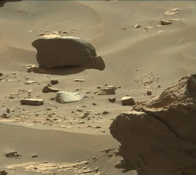 Sol 3312: Mast Camera (Mastcam)