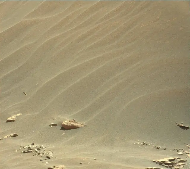 Sol 3312: Mast Camera (Mastcam)