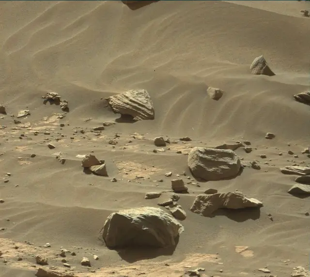 Sol 3312: Mast Camera (Mastcam)