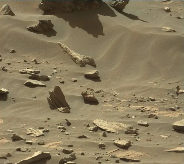 Sol 3312: Mast Camera (Mastcam)