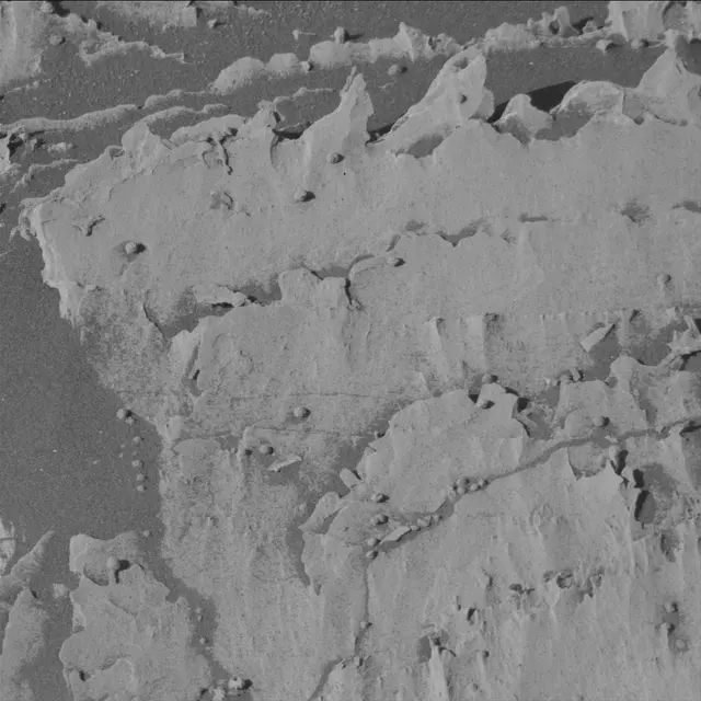 Sol 3312: Mast Camera (Mastcam)