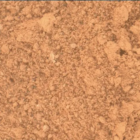 Sol 3312: Mars Hand Lens Imager (MAHLI)