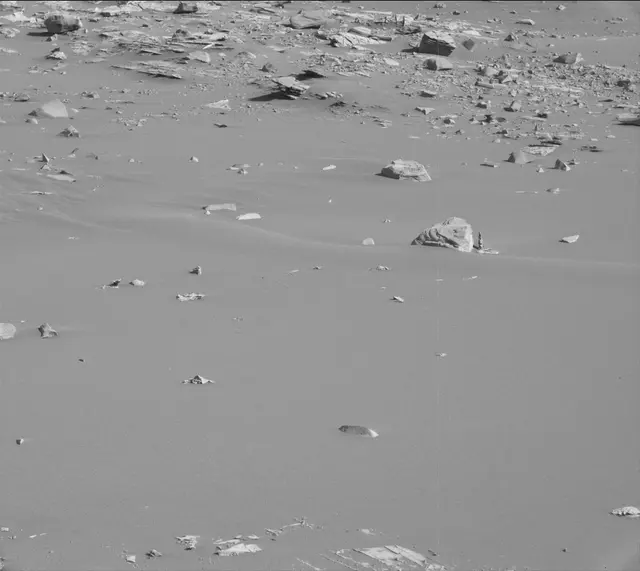 Sol 3313: Mast Camera (Mastcam)