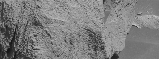 Sol 3314: Mast Camera (Mastcam)