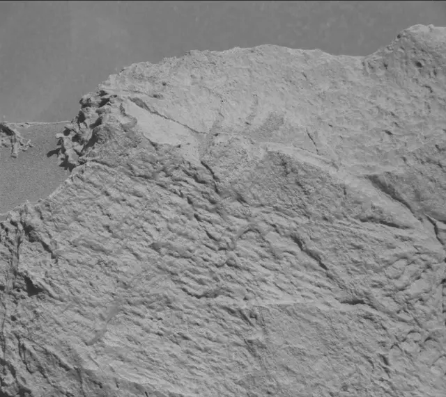 Sol 3314: Mast Camera (Mastcam)