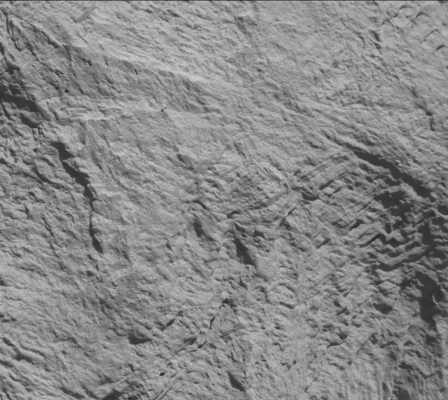 Sol 3314: Mast Camera (Mastcam)
