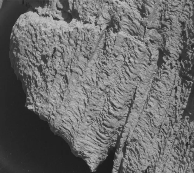 Sol 3314: Mast Camera (Mastcam)