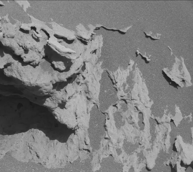 Sol 3314: Mast Camera (Mastcam)