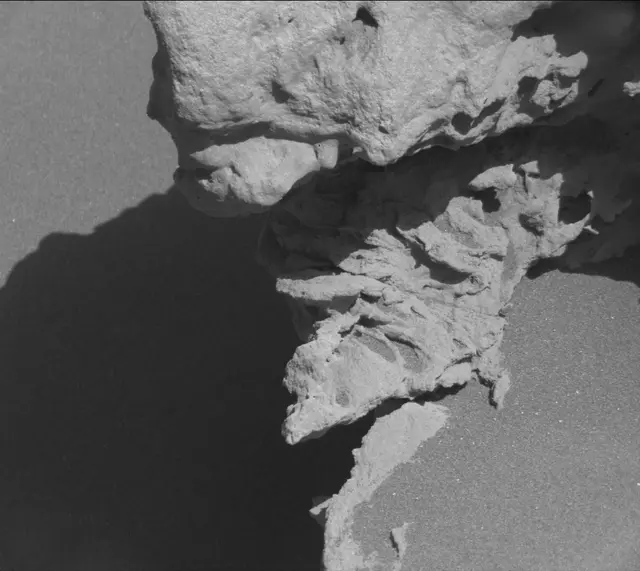 Sol 3314: Mast Camera (Mastcam)