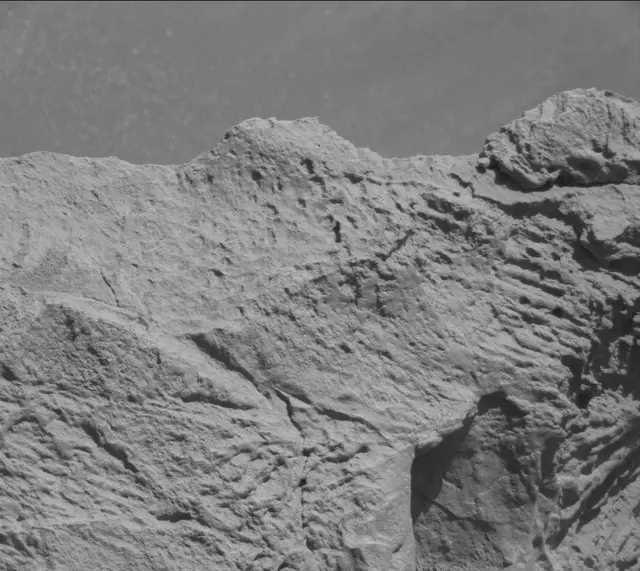Sol 3314: Mast Camera (Mastcam)
