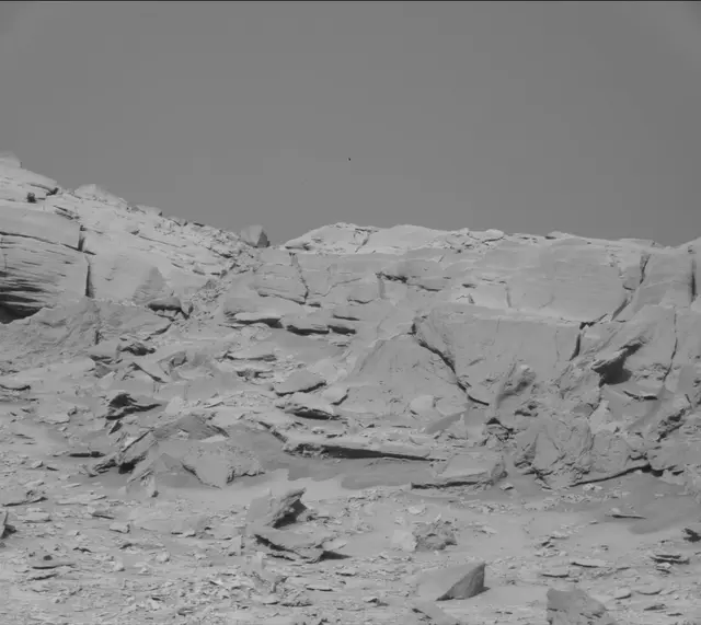 Sol 3315: Mast Camera (Mastcam)