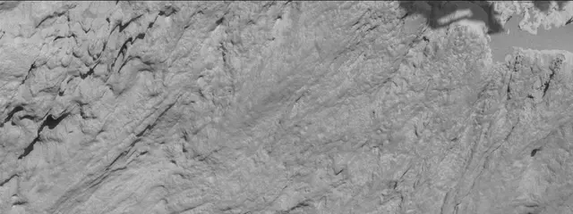 Sol 3316: Mast Camera (Mastcam)