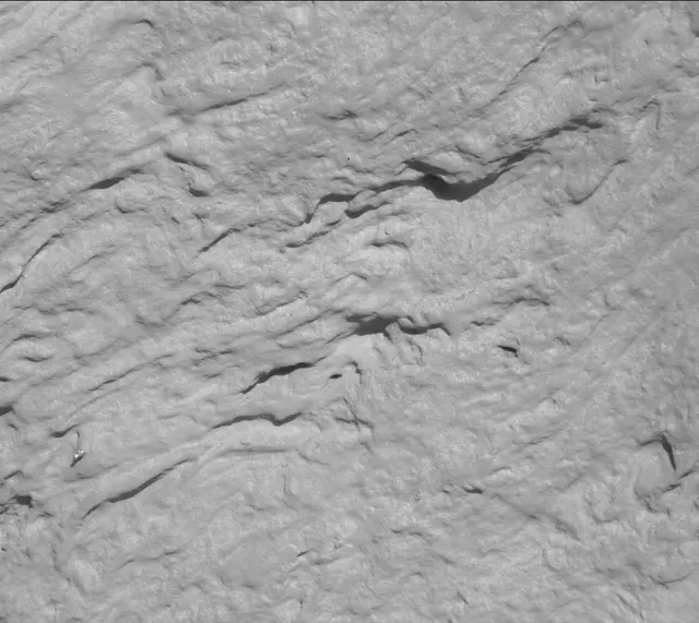 Sol 3316: Mast Camera (Mastcam)