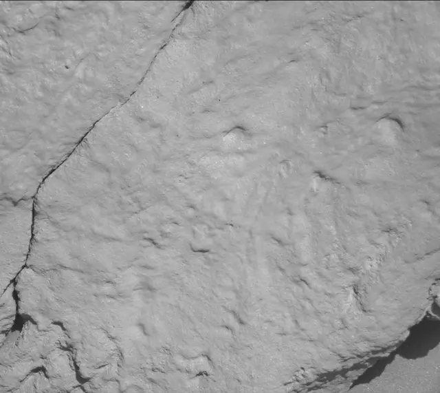 Sol 3316: Mast Camera (Mastcam)