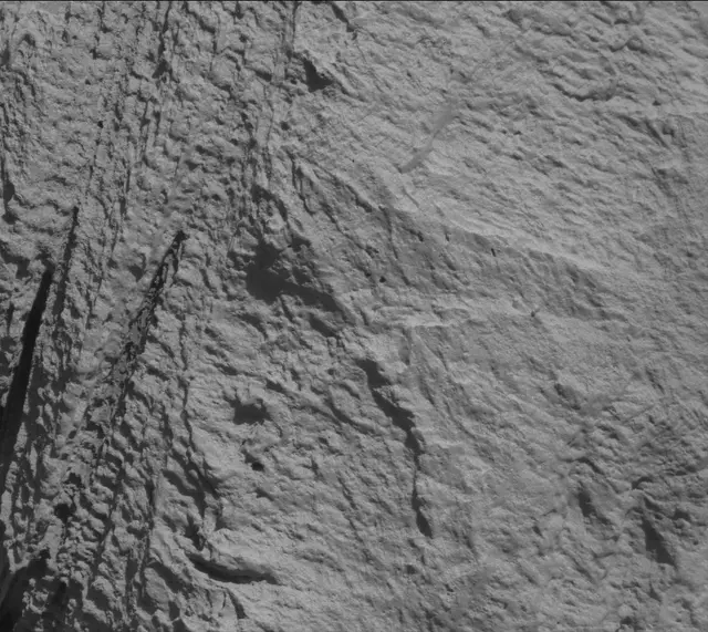 Sol 3316: Mast Camera (Mastcam)